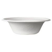 120 Schalen, Zuckerrohr "pure" 380 ml Ø 15,5 cm · 4,6 cm weiss